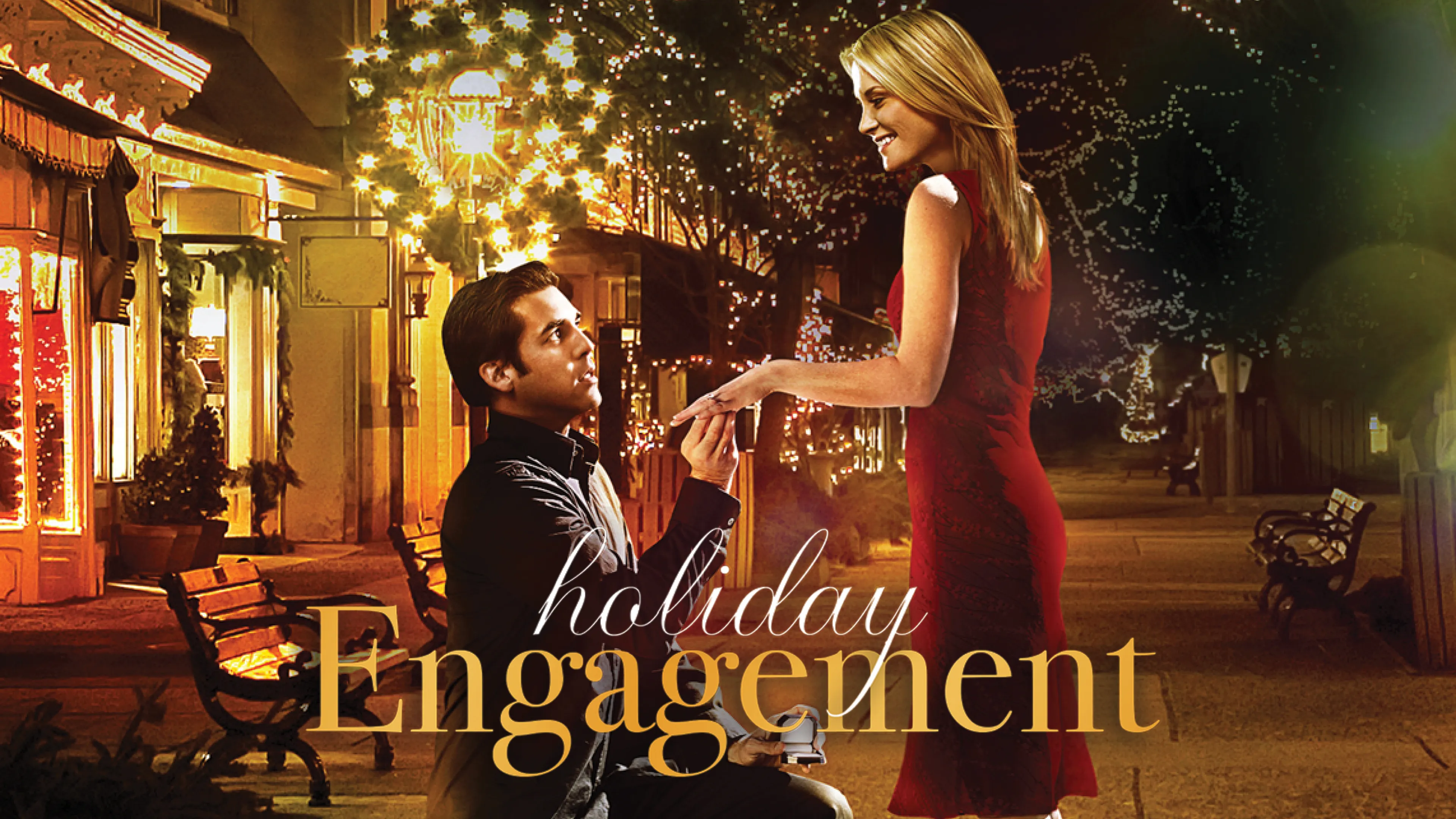 Holiday Engagement poster